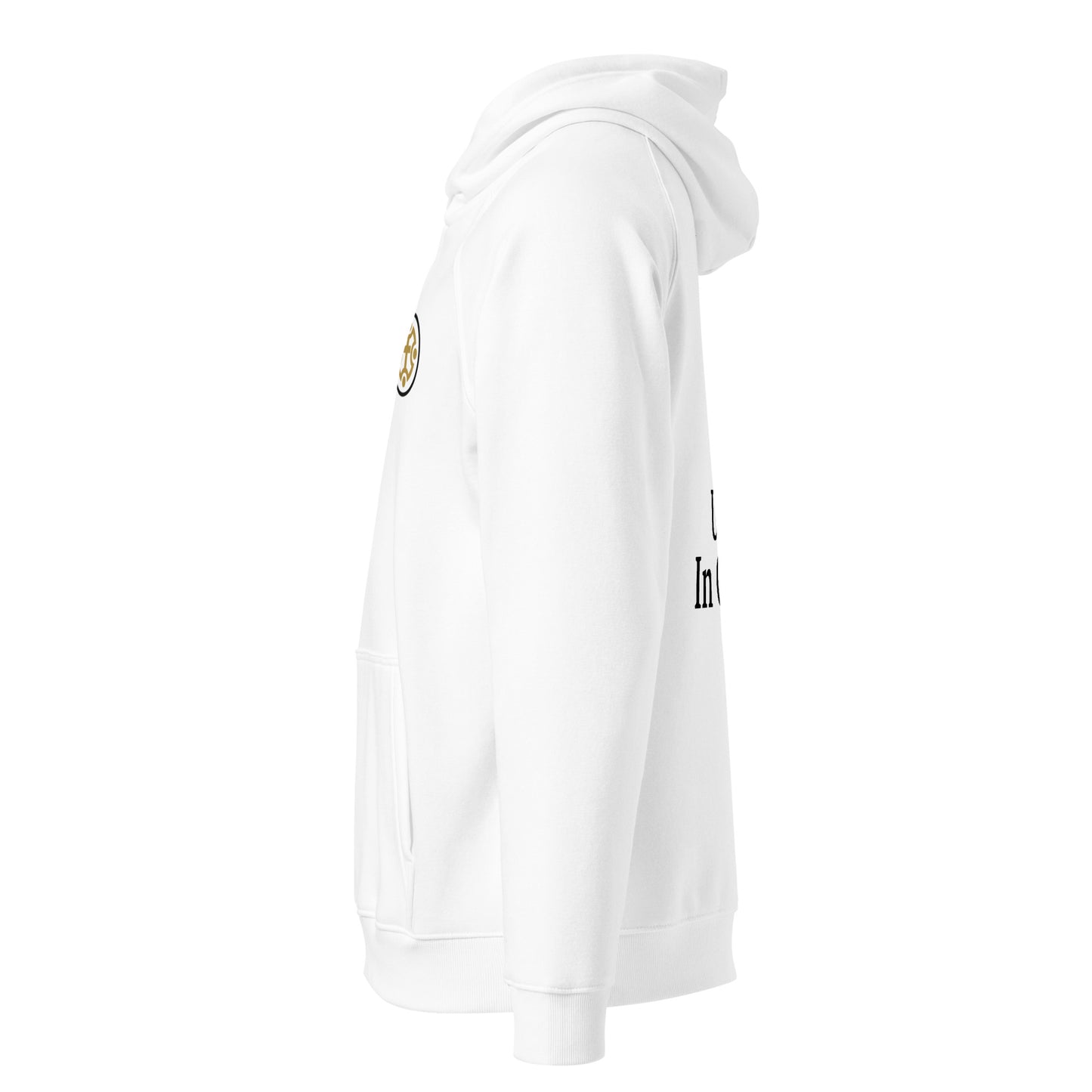 Unity In Christ hoodie | In Christ Collection